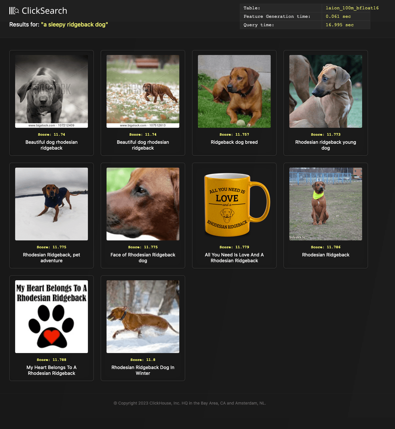 bfloat16_ridgebacks.png