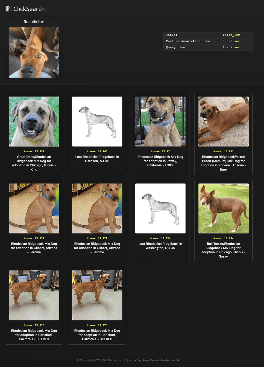 ridgebacks.png